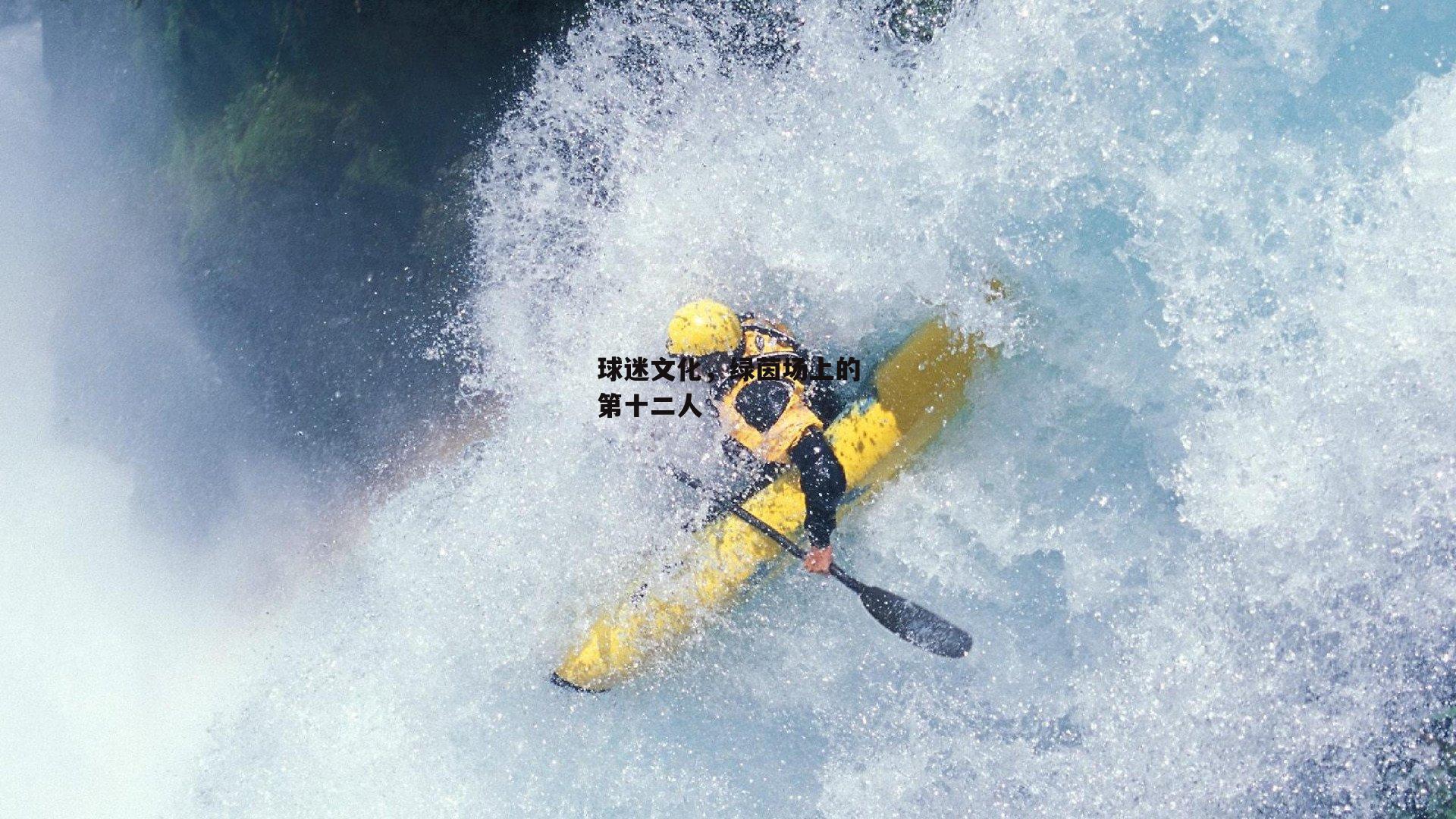 球迷文化，绿茵场上的第十二人